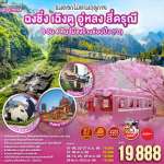 ฉงฉิ่ง เฉิงตู อู่หลง สี่ดรุณี 0